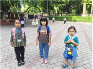 GREEN DAY ACTIVITY