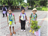 GREEN DAY ACTIVITY