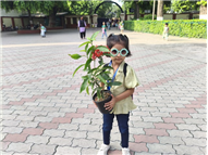 GREEN DAY ACTIVITY