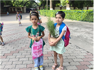 GREEN DAY ACTIVITY