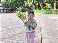 GREEN DAY ACTIVITY