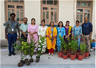 Rooting for a Greener Future!