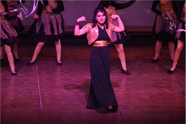 KALARANJINI 2026 ILLUMINATES SOMERVILLE SCHOOL NOIDA
