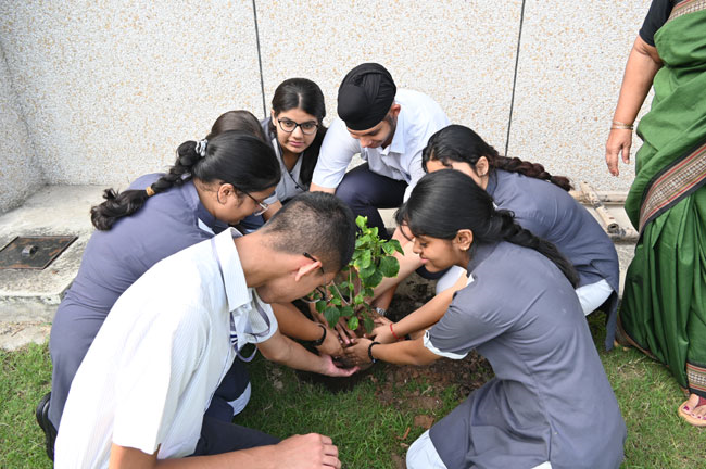 Van Mahotsav Celebration – Tree Plantation Drive