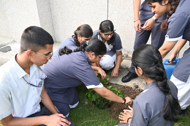 Van Mahotsav Celebration – Tree Plantation Drive