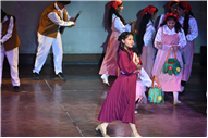 KALARANJINI 2026 ILLUMINATES SOMERVILLE SCHOOL NOIDA
