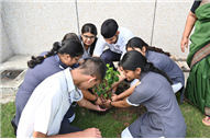 Van Mahotsav Celebration – Tree Plantation Drive