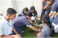 Van Mahotsav Celebration – Tree Plantation Drive