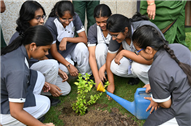 Van Mahotsav Celebration – Tree Plantation Drive