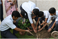 Van Mahotsav Celebration – Tree Plantation Drive
