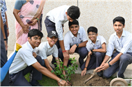Van Mahotsav Celebration – Tree Plantation Drive
