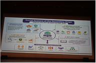 Bridging the Future: A Workshop on the New Curriculum Framework for Class IX