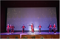 Inter section Dance Competition Class IV