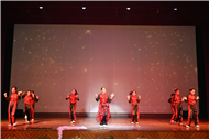 Inter section Dance Competition Class IV