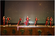 Inter section Dance Competition Class IV