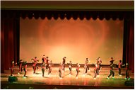 Inter section Dance Competition Class IV