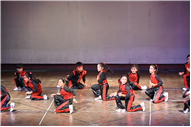 Inter section Dance Competition Class IV