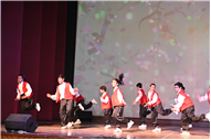 Inter section Dance Competition Class IV