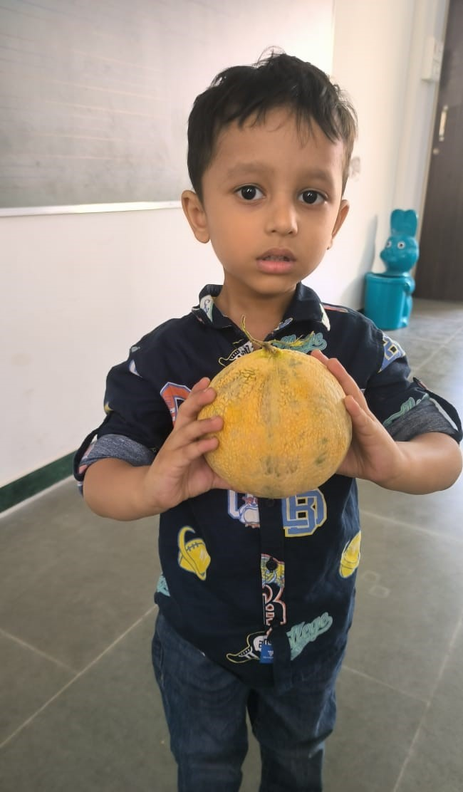 Fruits Day Celebration (Nursery)