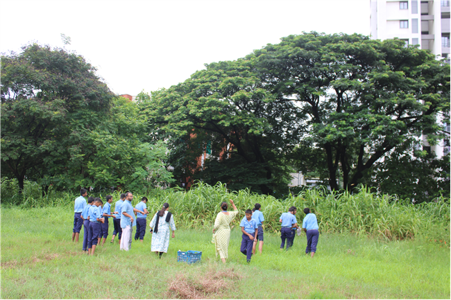 Greening Our Campus: A Seed Sowing Initiative