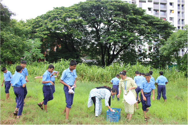 Greening Our Campus: A Seed Sowing Initiative