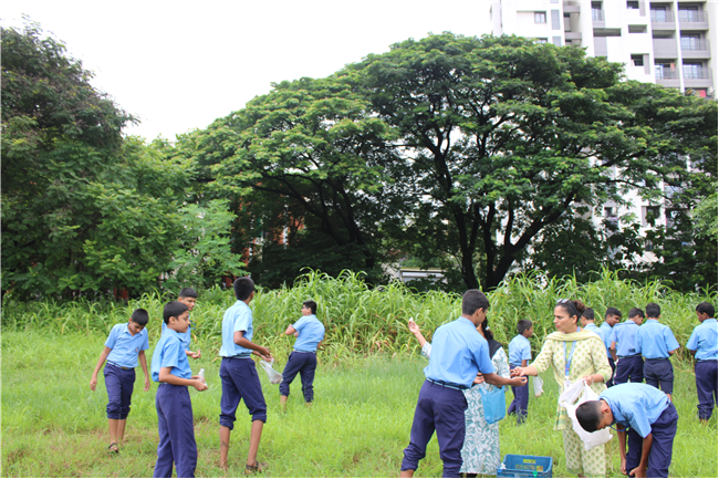 Greening Our Campus: A Seed Sowing Initiative