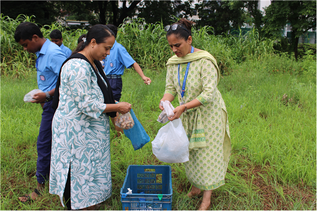 Greening Our Campus: A Seed Sowing Initiative