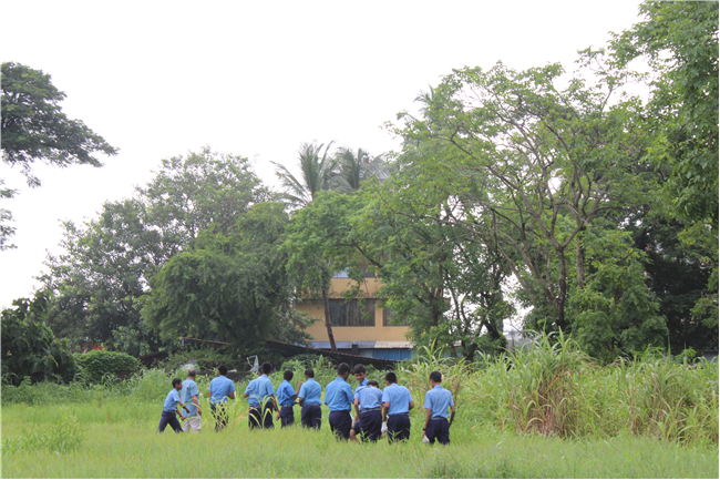 Greening Our Campus: A Seed Sowing Initiative