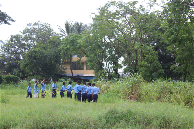 Greening Our Campus: A Seed Sowing Initiative