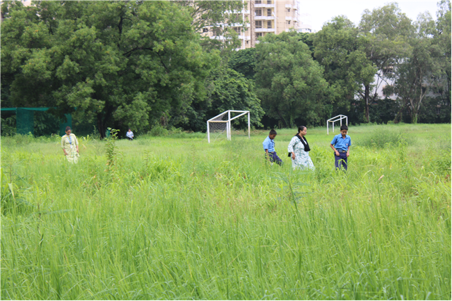 Greening Our Campus: A Seed Sowing Initiative