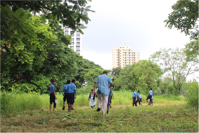 Greening Our Campus: A Seed Sowing Initiative