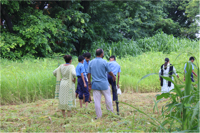 Greening Our Campus: A Seed Sowing Initiative