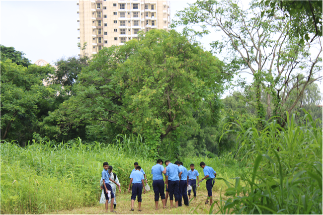 Greening Our Campus: A Seed Sowing Initiative