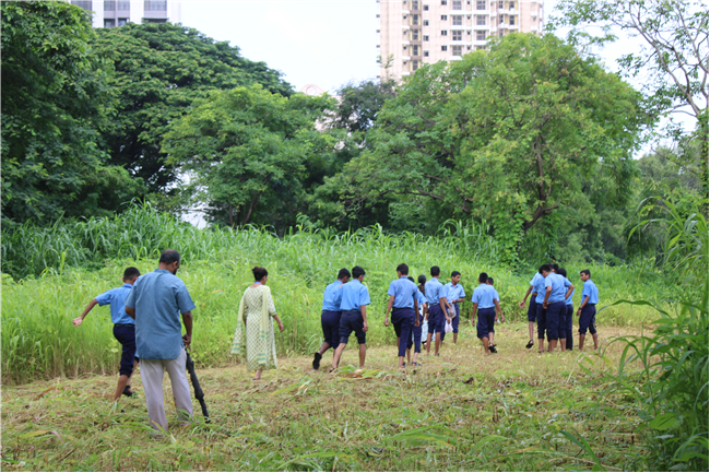 Greening Our Campus: A Seed Sowing Initiative