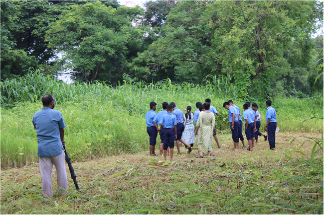 Greening Our Campus: A Seed Sowing Initiative