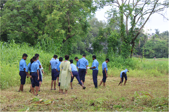 Greening Our Campus: A Seed Sowing Initiative