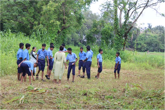 Greening Our Campus: A Seed Sowing Initiative