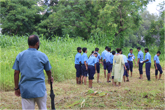Greening Our Campus: A Seed Sowing Initiative