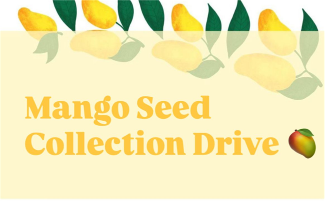 🌱 Mango Seed Collection Drive – Season 2 🌱