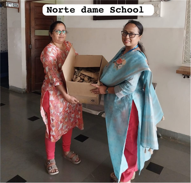 🌱 Mango Seed Collection Drive – Season 2 🌱