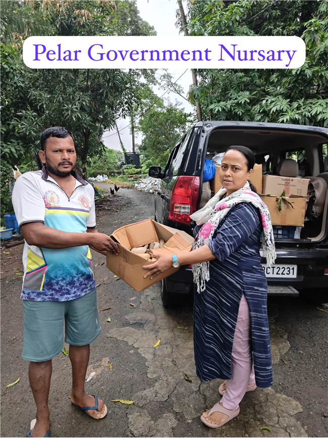 🌱 Mango Seed Collection Drive – Season 2 🌱