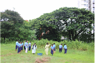 Greening Our Campus: A Seed Sowing Initiative