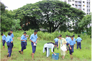 Greening Our Campus: A Seed Sowing Initiative