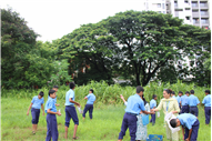 Greening Our Campus: A Seed Sowing Initiative