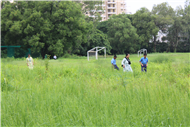 Greening Our Campus: A Seed Sowing Initiative