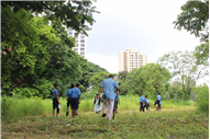 Greening Our Campus: A Seed Sowing Initiative