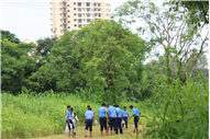Greening Our Campus: A Seed Sowing Initiative