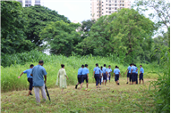 Greening Our Campus: A Seed Sowing Initiative