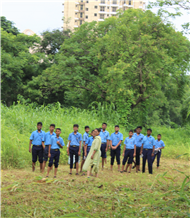 Greening Our Campus: A Seed Sowing Initiative