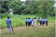 Greening Our Campus: A Seed Sowing Initiative